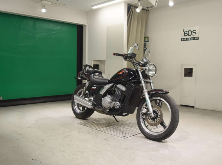 Мотоцикл Kawasaki ELIMINATOR 250 з пробігом 11306 km