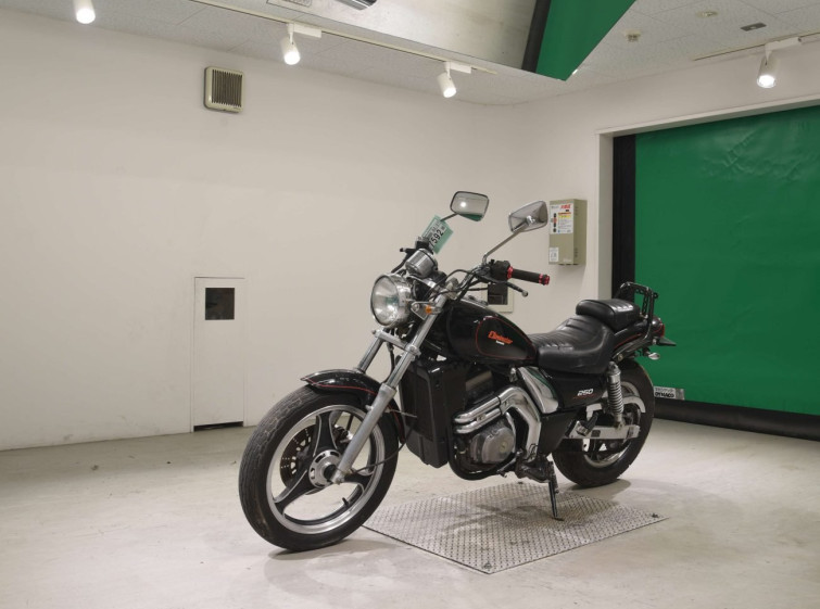 Мотоцикл Kawasaki ELIMINATOR 250 з пробігом 11306 km