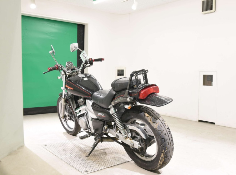 Мотоцикл Kawasaki ELIMINATOR 250 з пробігом 11306 km