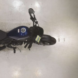 Мотоцикл Honda REBEL S CMX250 з пробігом 1440 km