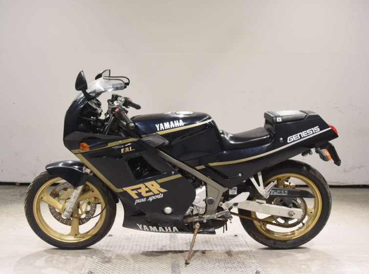 Мотоцикл Yamaha FZR250 з пробігом 1086 km