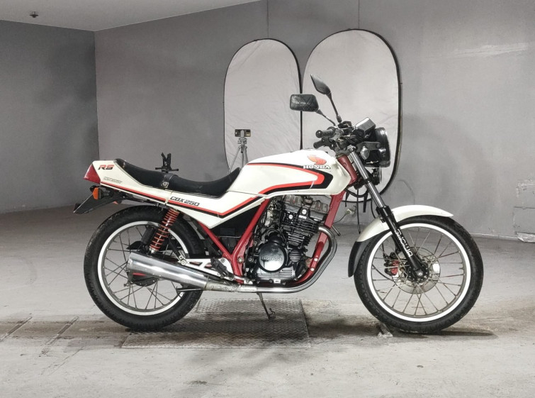Мотоцикл Honda CBX250RS з пробігом 6476 km