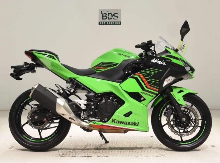 Мотоцикл Kawasaki NINJA250 с пробегом 8165 km