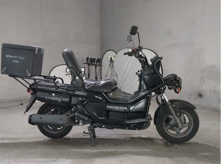 Мотоцикл Honda PS250 BIG RUCKUS с пробегом 56247 km