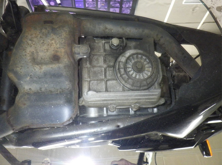 Мотоцикл Honda VT250F XELVIS з пробігом 5630 km