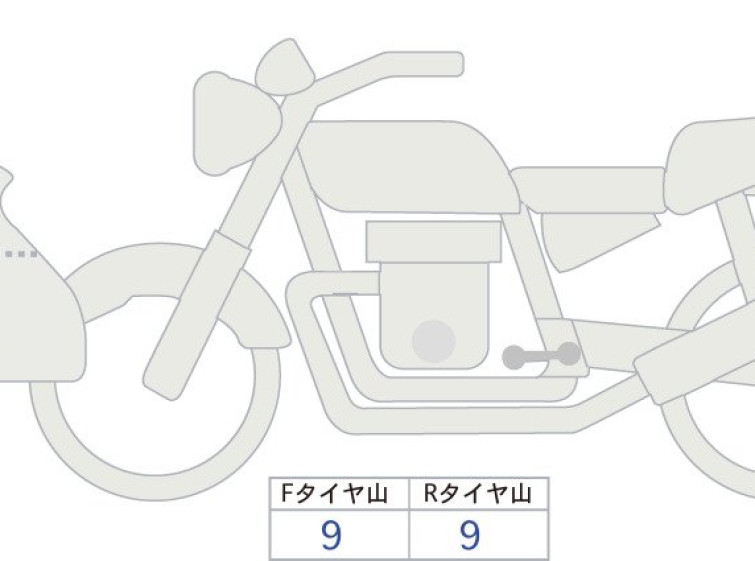 Мотоцикл Honda NT1100