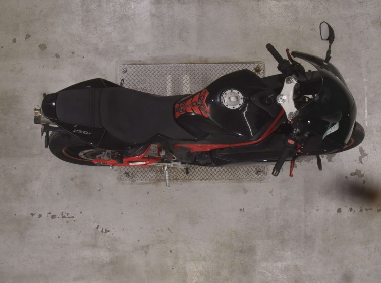 Мотоцикл Honda ﾒｶﾞﾘ250R з пробігом 16486 km