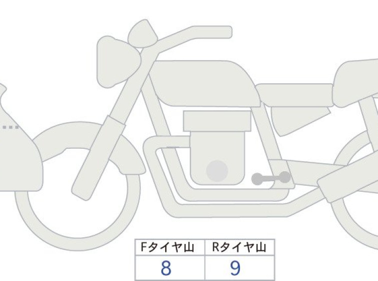 Мотоцикл BMW R1300GS ADV ASA з пробігом 217 km