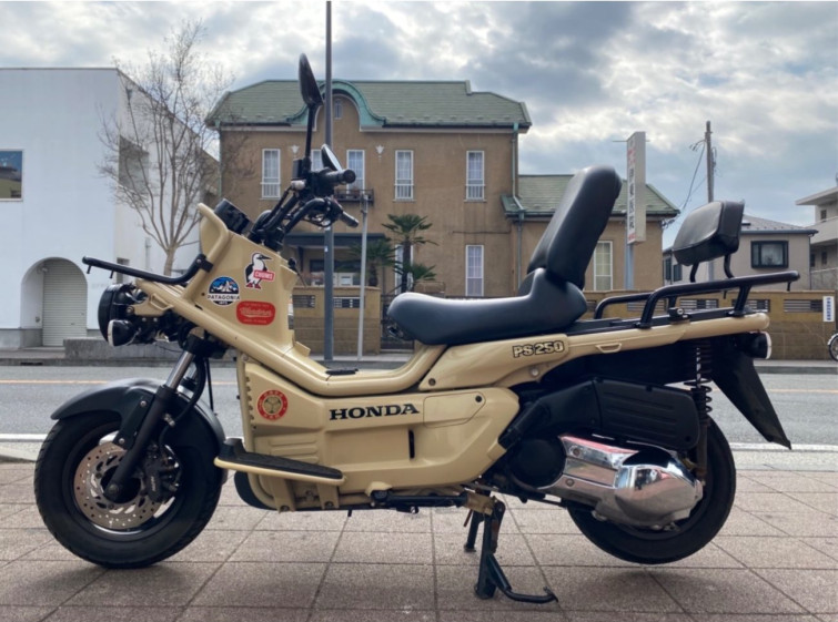 Мотоцикл Honda PS250 BIG RUCKUS с пробегом 16642 km