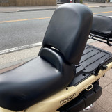 Мотоцикл Honda PS250 BIG RUCKUS с пробегом 16642 km