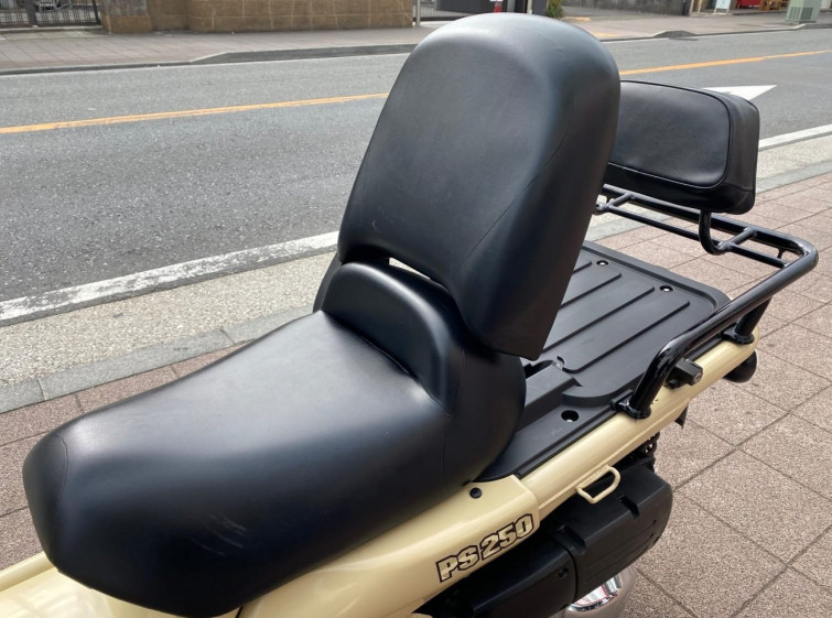 Мотоцикл Honda PS250 BIG RUCKUS с пробегом 16642 km