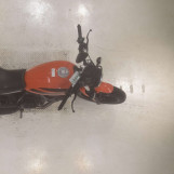 Мотоцикл Ducati SCRAMBLER SIXTY2 з пробігом 12318 km