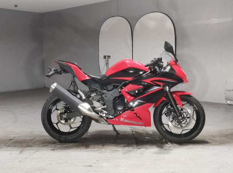 Мотоцикл Kawasaki NINJA250 с пробегом 15942 km
