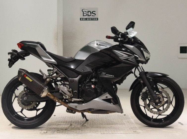 Мотоцикл Kawasaki Z250 з пробігом 53307 km