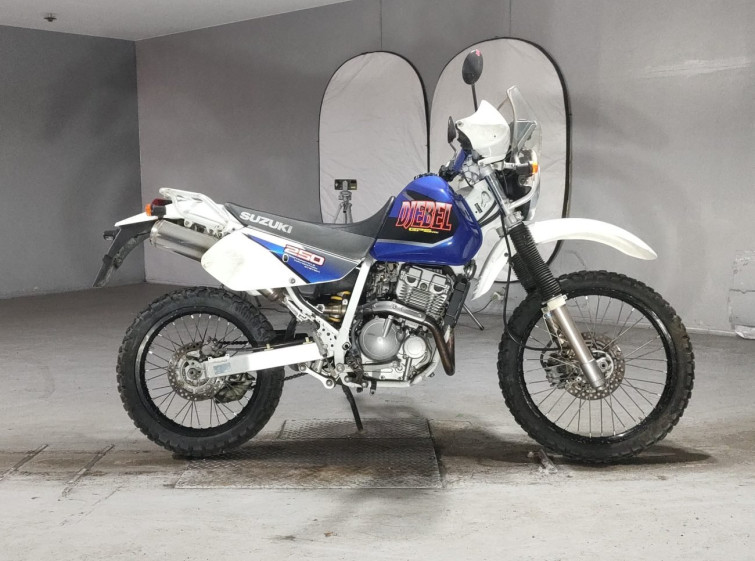 Мотоцикл Suzuki DJEBEL250XC з пробігом 22138 km