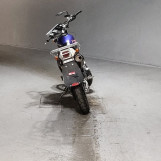 Мотоцикл Kawasaki SUPER SHERPA с пробегом 99999 km