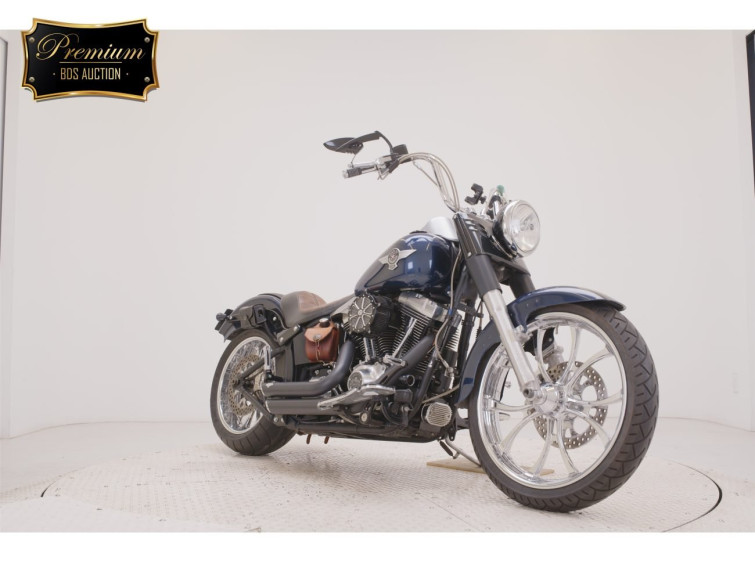 Мотоцикл HD FATBOY FLSTFB1580 с пробегом 11110 km