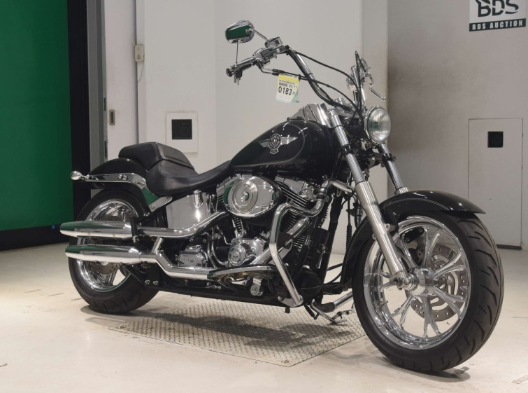 Мотоцикл HD FATBOY FLSTF1580 з пробігом 12038 km