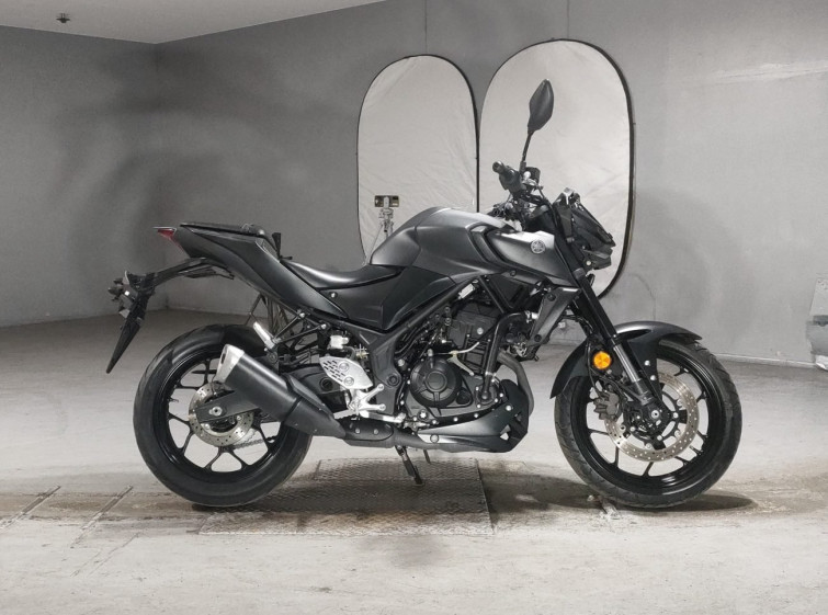 Мотоцикл Yamaha MT-25 з пробігом 5294 km