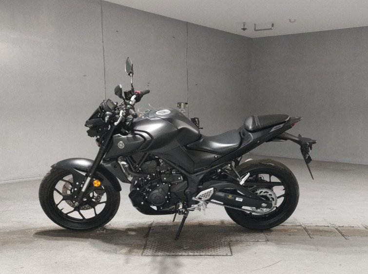 Мотоцикл Yamaha MT-25 з пробігом 5294 km
