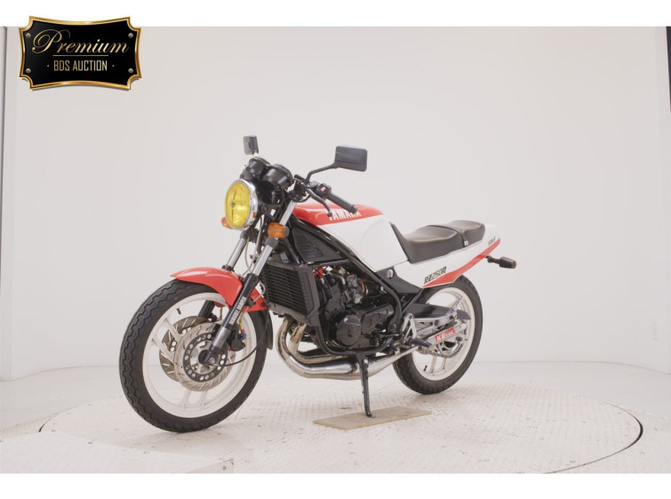 Мотоцикл Yamaha RZ250R с пробегом 28830 km