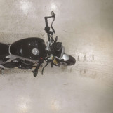 Мотоцикл Triumph SPEED TWIN RS с пробегом 280 km