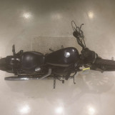 Мотоцикл HD XL883N з пробігом 17215 km