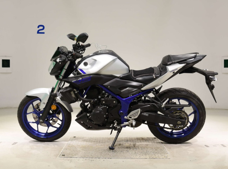 Мотоцикл Yamaha MT-25 з пробігом 13296 km
