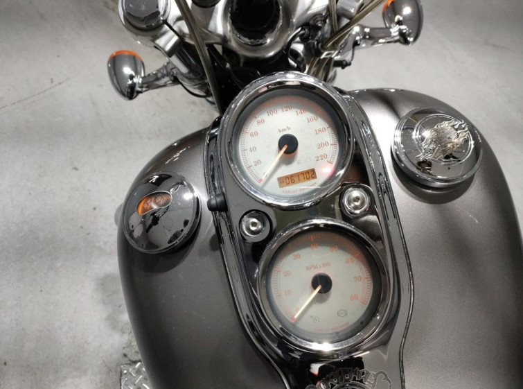 Мотоцикл HD FXDL1580 з пробігом 61702 km