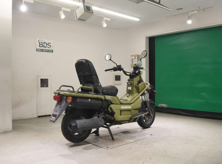 Мотоцикл Honda PS250 з пробігом 39347 km