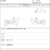 Мотоцикл Honda REBEL CMX250 з пробігом 980 km
