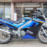 Мотоцикл Kawasaki ZZR250 з пробігом 9770 km