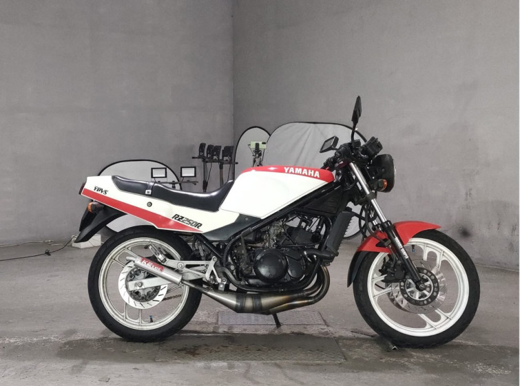 Мотоцикл Yamaha RZ250R з пробігом 17838 km