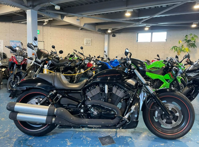 Мотоцикл HD NIGHT ROD VRSCDX1250 з пробігом 19088 km