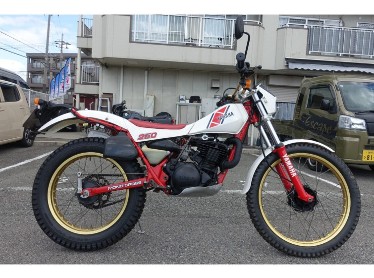 Мотоцикл Yamaha TY250 SCOTTISH з пробігом 6839 km