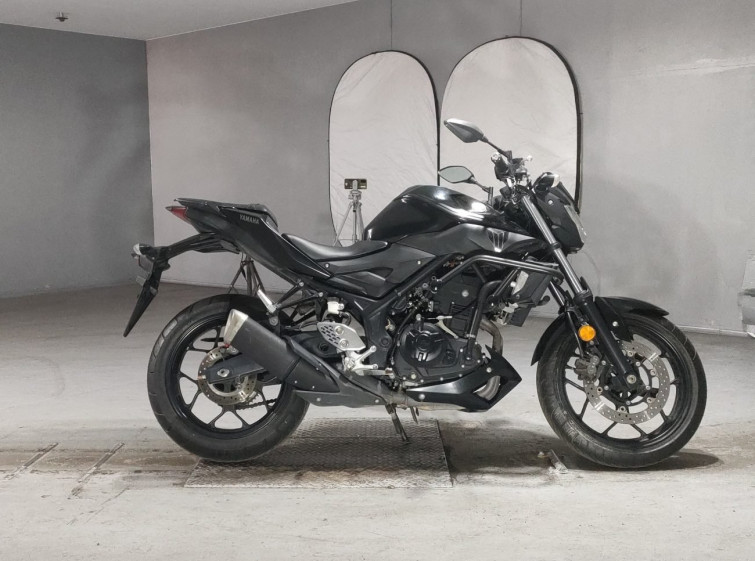 Мотоцикл Yamaha MT-25 з пробігом 18675 km