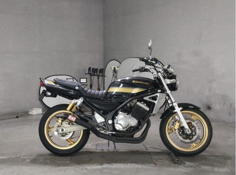 Мотоцикл Suzuki GSX250FX з пробігом 18081 km