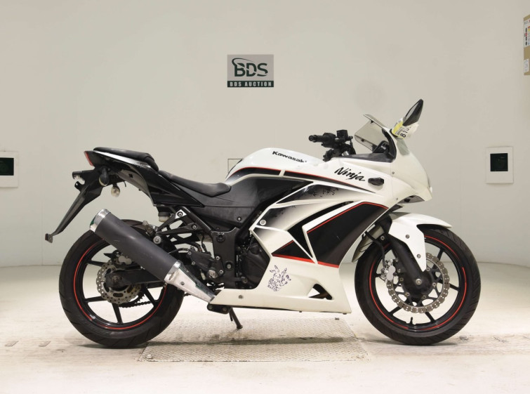 Мотоцикл Kawasaki NINJA250R з пробігом 20097 km