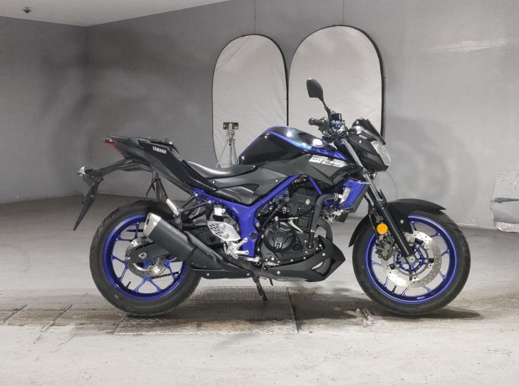 Мотоцикл Yamaha MT-25 з пробігом 16045 km