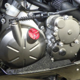 Мотоцикл Kawasaki ZX-6RA з пробігом 21017 km