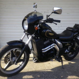 Мотоцикл Kawasaki ELIMINATOR 250SE з пробігом 6005 km
