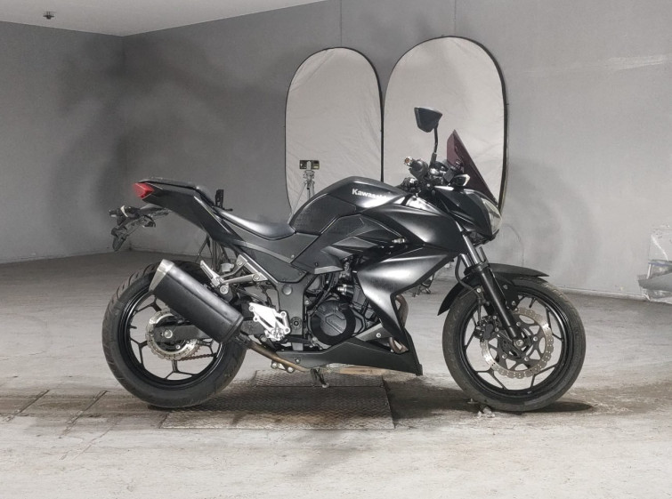 Мотоцикл Kawasaki Z250 с пробегом 25331 km