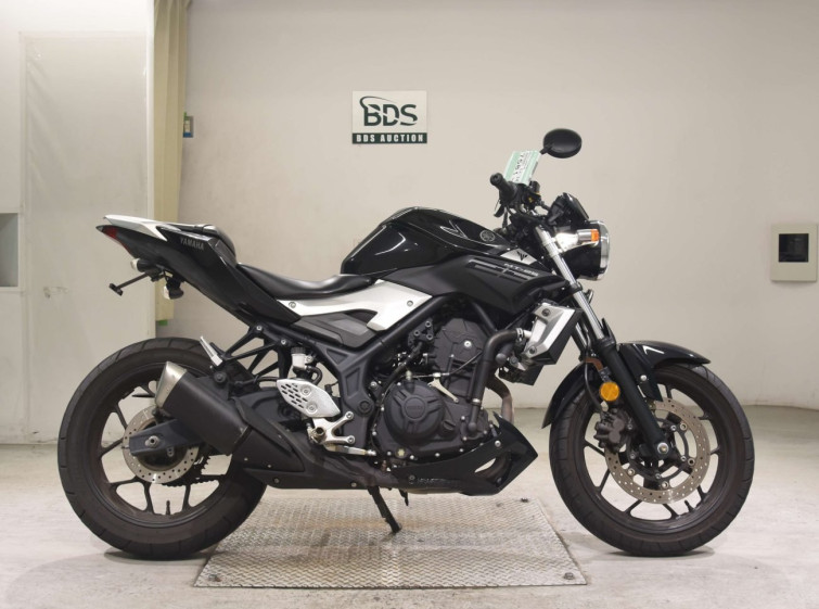 Мотоцикл Yamaha MT-25 с пробегом 24886 km