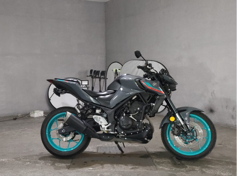 Мотоцикл Yamaha MT-25 з пробігом 30024 km