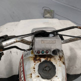 Мотоцикл Honda TRX300FW