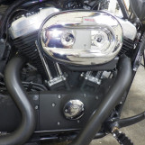 Мотоцикл HD SPORTSTER FORTY-EIGHT XL1200X з пробігом 62464 km