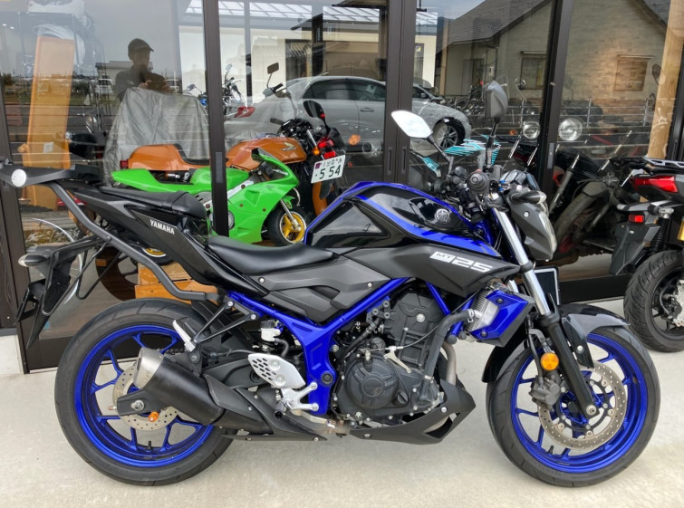 Мотоцикл Yamaha MT-25 з пробігом 17832 km