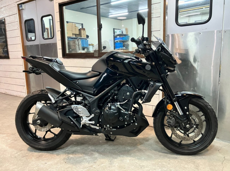 Мотоцикл Yamaha MT-25 з пробігом 2007 km