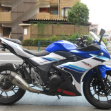 Мотоцикл Suzuki GSX250R с пробегом 13605 km
