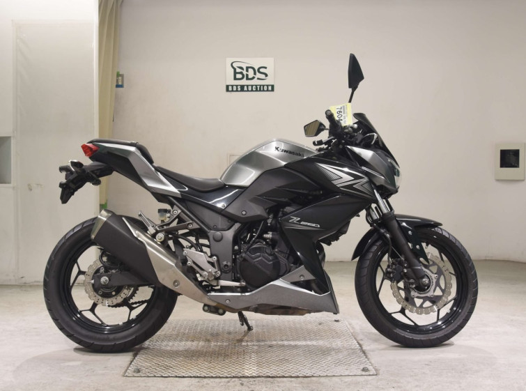 Мотоцикл Kawasaki Z250 с пробегом 14188 km